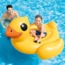 Надувной плотик INTEX «ЖЕЛТЫЙ УТЕНОК» 57556 147х147x81 см