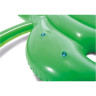 Надувной плотик INTEX «ПАЛЬМОВЫЙ ЛИСТ» 58782 213х142 см