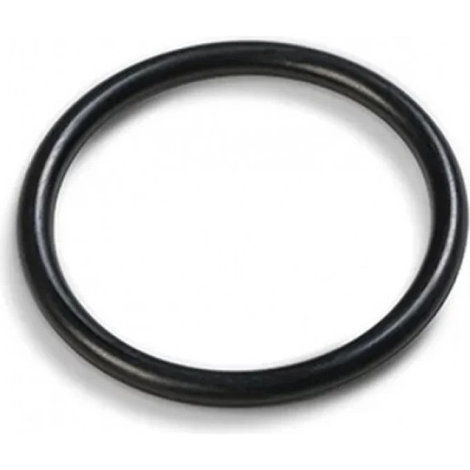 Уплотнительное кольцо INTEX 10262